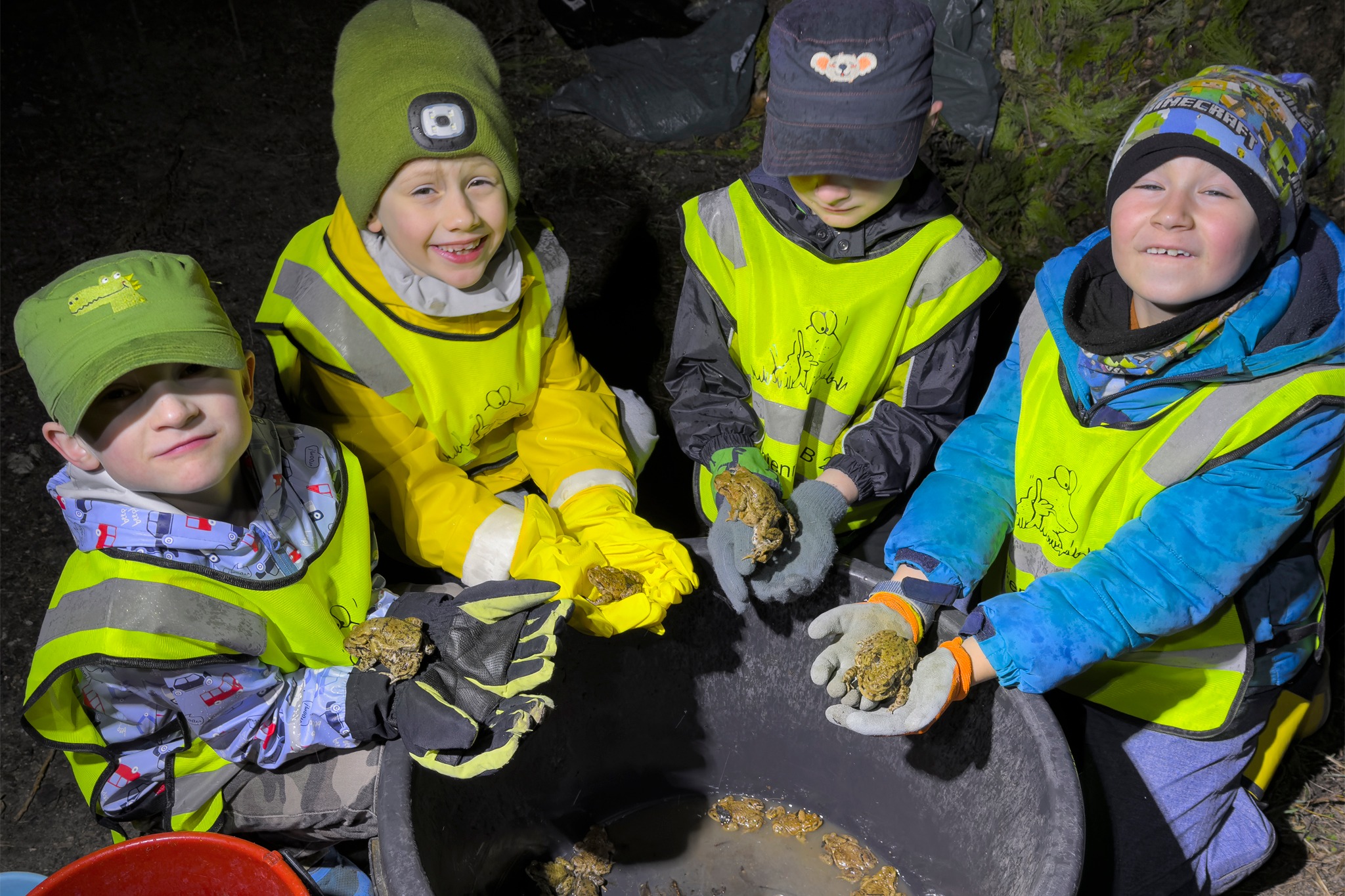 AMPHIBIENRETTER B 241 2