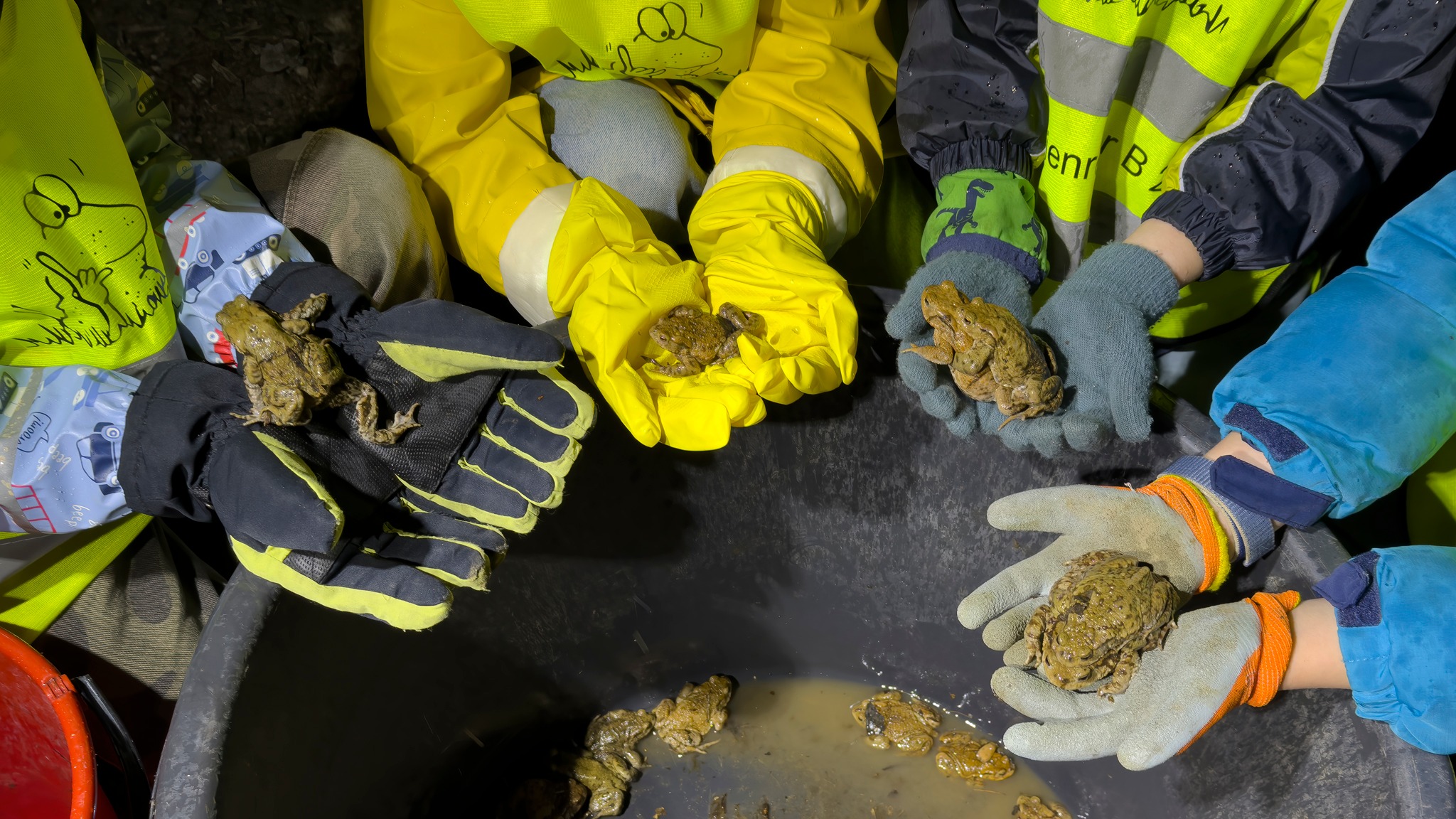 AMPHIBIENRETTER B 241 3