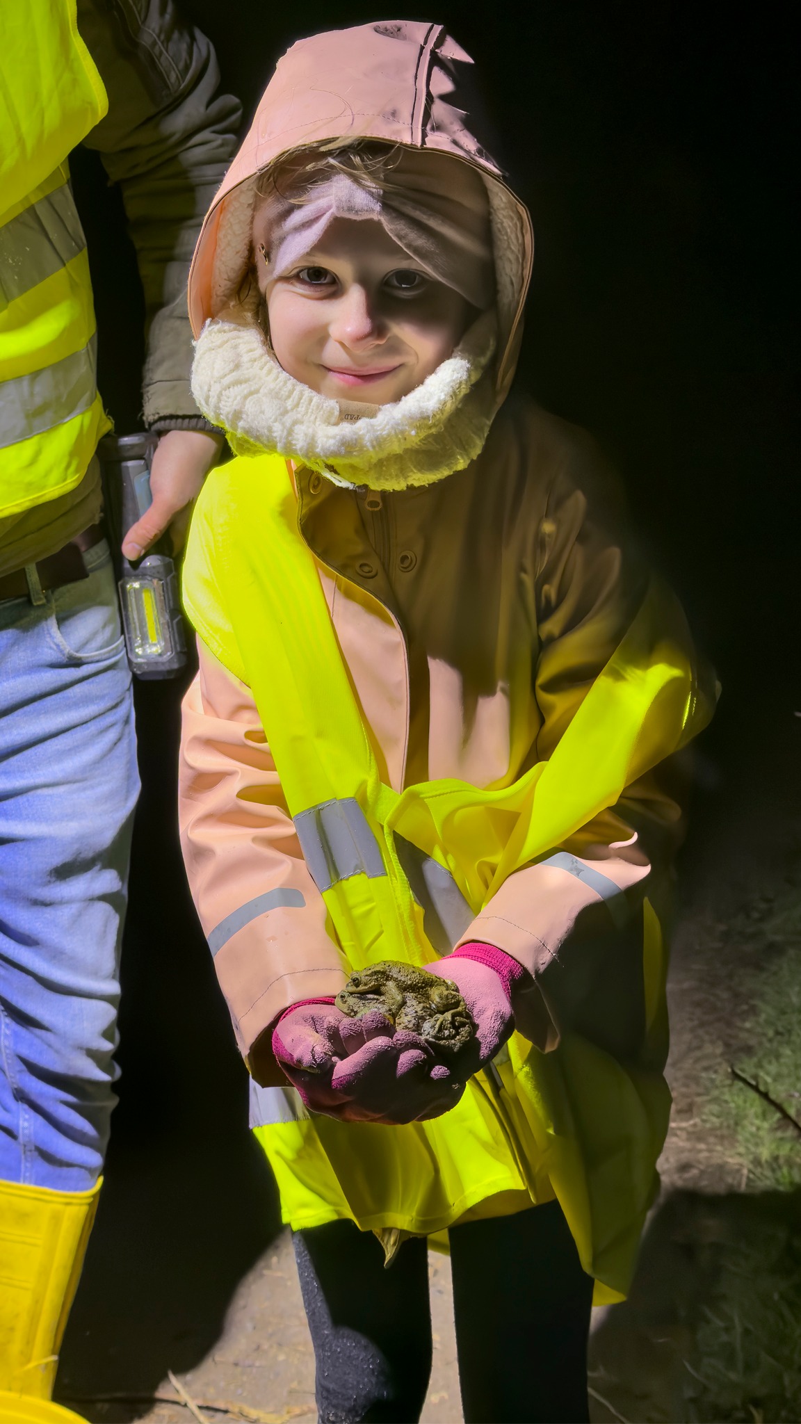 AMPHIBIENRETTER B 241 5